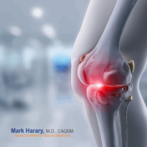 Dr. Mark Harary Dr Mark Harary